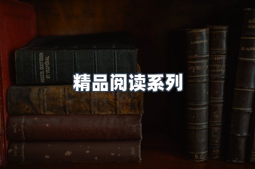 精品阅读系列